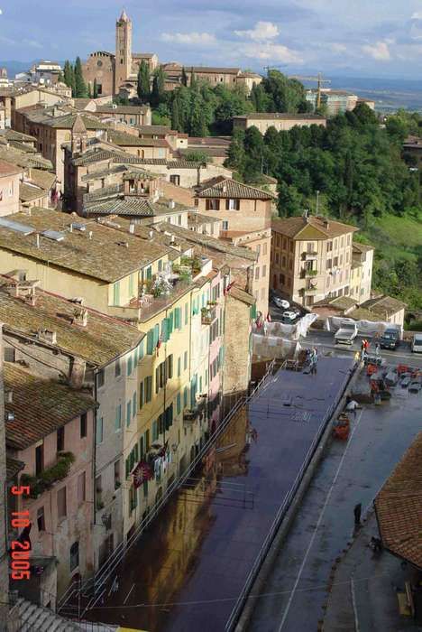 SIENA - Contrada della Torre / parterre   Festa della Vittoria del Palio